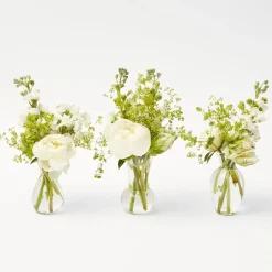 Mrs. Alice Vases|Ava Bud Vase Set