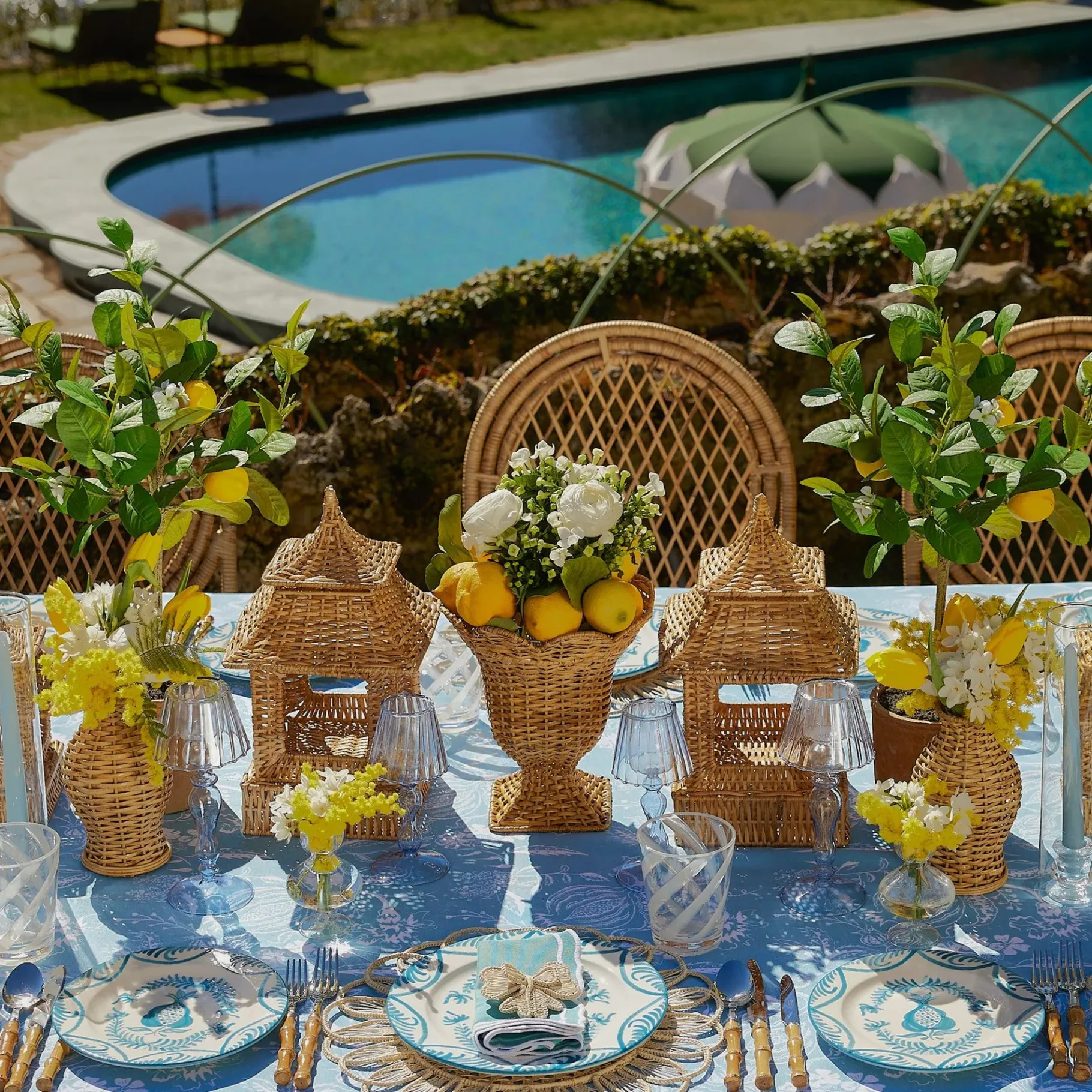 Mrs. Alice Dinner Plates|Blue Melograno Dinner & Starter Plates (Set Of 8)