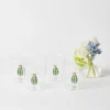 Mrs. Alice Glasses|Cactus Water Glasses (Set 4)