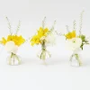 Mrs. Alice Vases|Grace Bud Vase Set