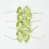 Mrs. Alice Napkin Rings, Bows & Wreaths|Green Saddle Stitch Napkin Bows (Set Of 4)