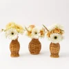 Mrs. Alice Vases|Honey Rattan Vase (Set Of 3)