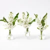 Mrs. Alice Vases|Nancy Bud Vase (Set Of 3)