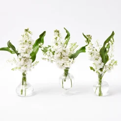 Mrs. Alice Vases|Nancy Bud Vase (Set Of 3)