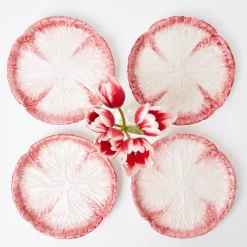 Mrs. Alice Starter Plates|Pink Capri Lettuce Starter Plate (Set Of 4)