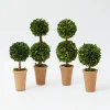 Mrs. Alice Decoration Sets|Potted Boxwood Decoration Set
