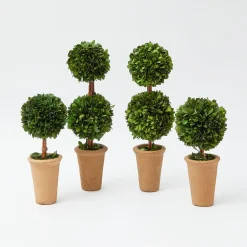 Mrs. Alice Decoration Sets|Potted Boxwood Decoration Set