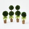Mrs. Alice Decoration Sets|Potted Boxwood With Green Bow Decoration Set