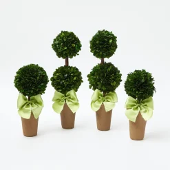 Mrs. Alice Decoration Sets|Potted Boxwood With Green Bow Decoration Set
