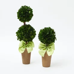 Mrs. Alice Decoration Sets|Potted Boxwood With Green Bow Decoration Set