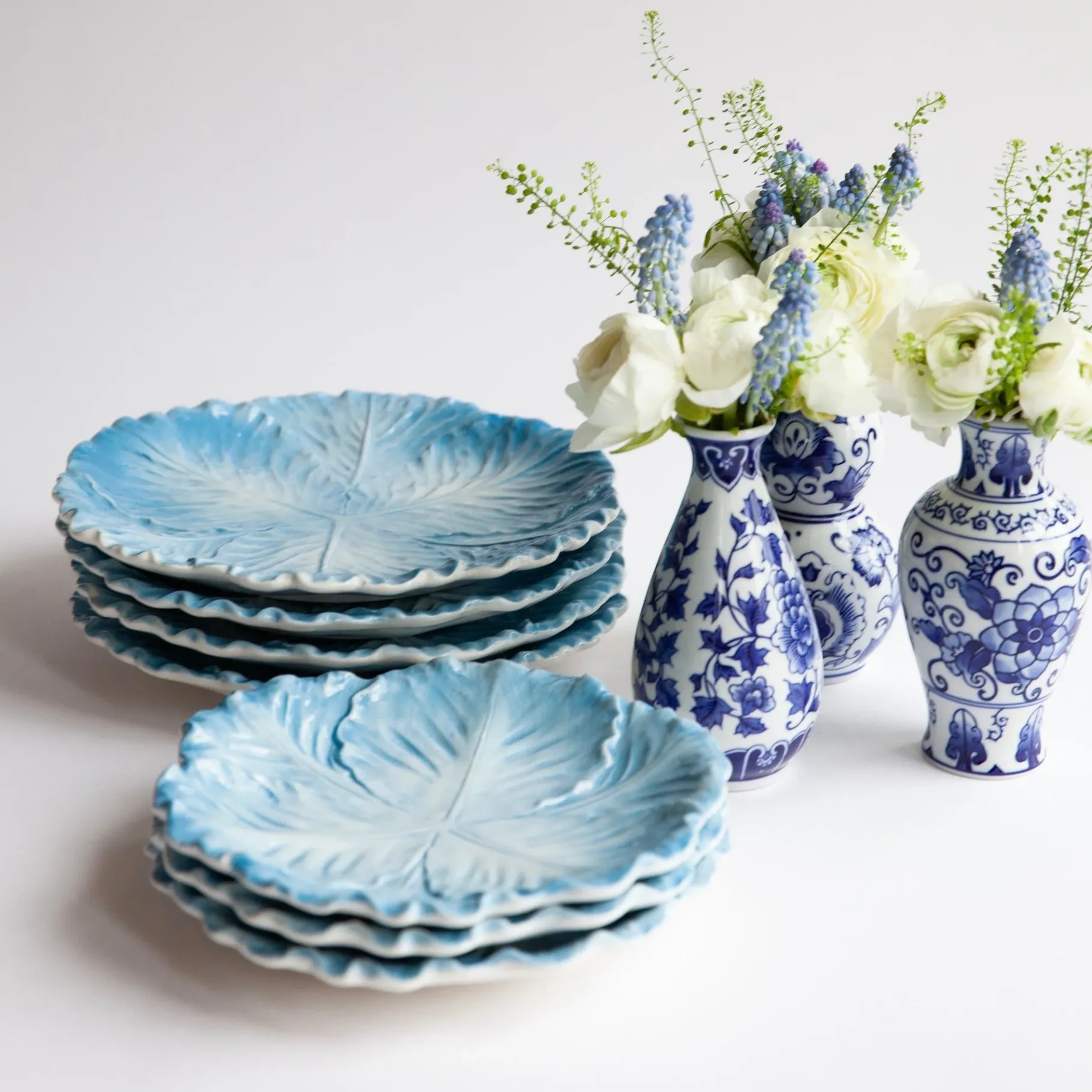 Mrs. Alice Starter Plates|Serena Cabbage Starter Plate