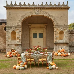 Mrs. Alice Vases|Sofia Bud Vase Set