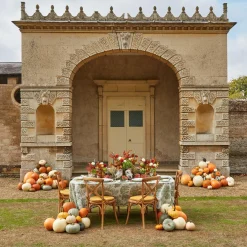 Mrs. Alice Vases|Sofia Bud Vase Set